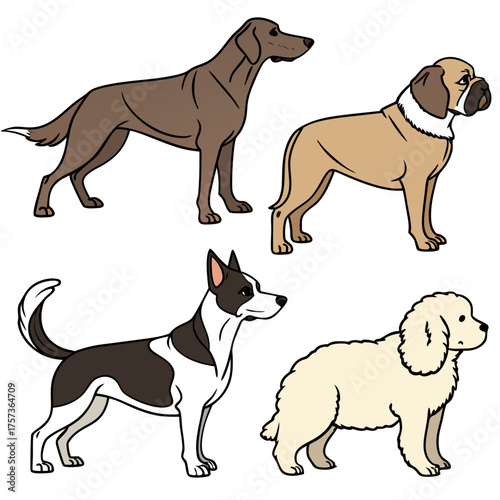 Diverse collection of four dog breeds standing attentively, showcasing unique appearances and sizes.