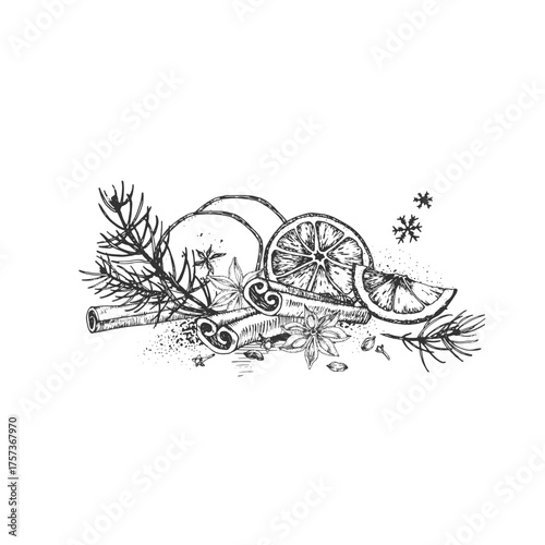 Spices and fruits for hot winter drinks. Cinnamon, anise, cardamom, cloves, dried orange and apple. Hand-drawn ink vector illustration. For seasonal menu and label design.