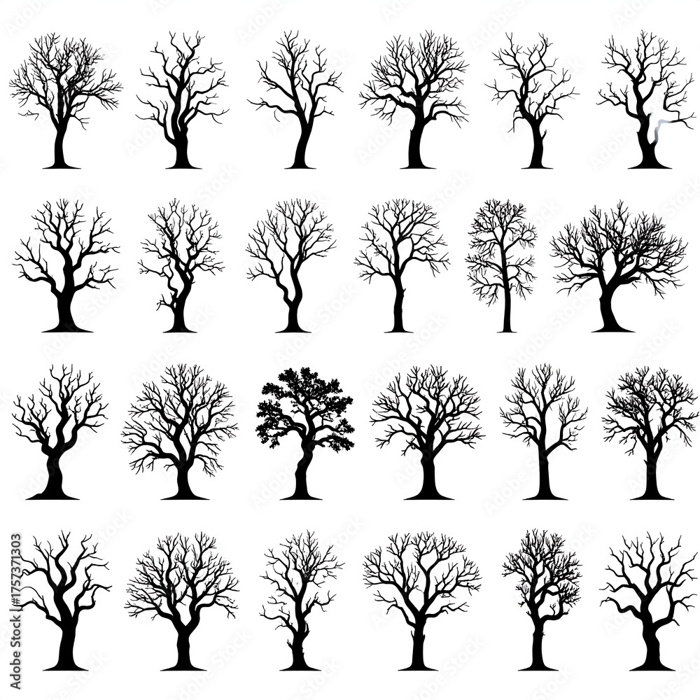 Obraz premium Collection of various silhouettes of leafless trees, black on white