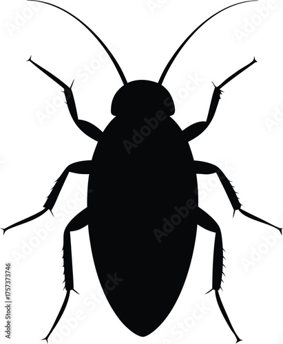 Cockroach vector icon