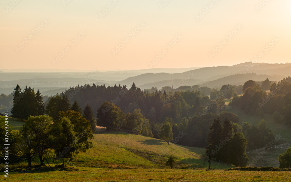 Obraz premium Golden hour light bathes rolling hills and forests
