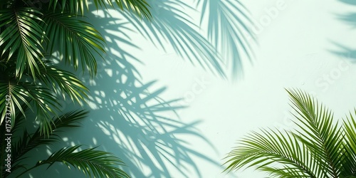 Textured mint wall with dappled tropical palm leaf shadows,   cool,   jungle