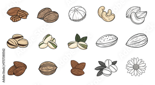 A delightful assortment of various healthy nuts and seeds.