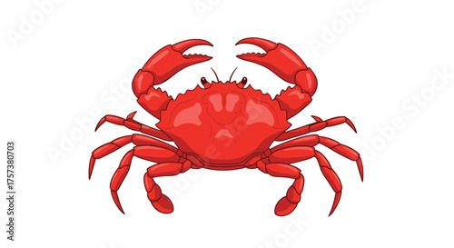 An illustration of a red crab showing its claws and legs.