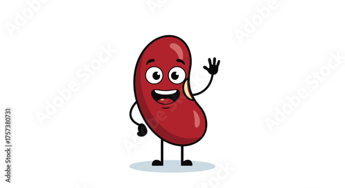 A happy cartoon kidney bean waves hello with a friendly smile.