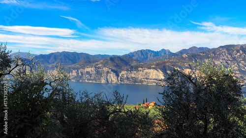 Lake Garda seen from the panoramic road above Malcesine with olive trees