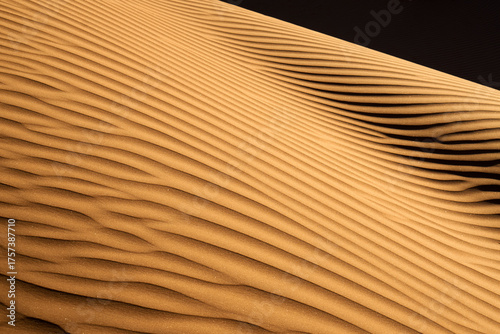 Fototapeta Naklejka Na Ścianę i Meble -  Golden desert dunes sculpted by the wind