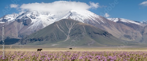 panorama of the mountains
