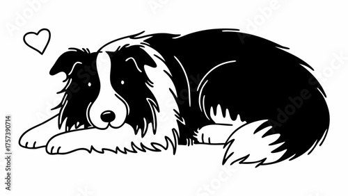Collie Dog Resting Calmly in Black and White Outline