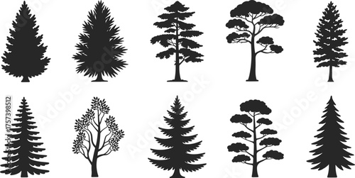 Collection of black silhouette tree illustrations including pine and deciduous species, detailed forest nature vector set for design and decoration