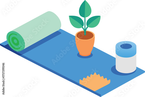 Isometric yoga mat water bottle plant and towel vector illustration for wellness and fitness