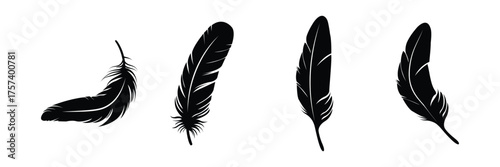 Vector Feather Icons collection. Black feather silhouette set. Bird Feather silhouette vector set. bird feather vector illustration icon . eps 10 
 