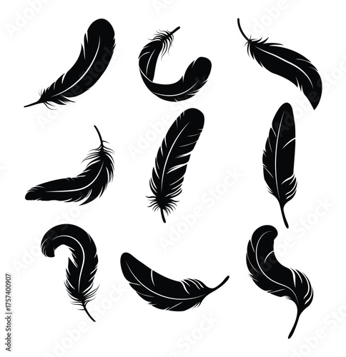 set of feather silhouette vector  . A set of bird feathers of different shapes, straight, curved and flying. eps 10 
