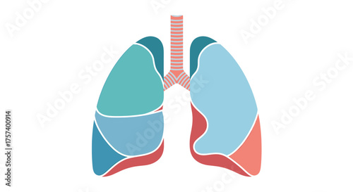 Breathe easy with this modern lung illustration promoting respiratory health and awareness, perfect for medical education and healthcare marketing campaigns