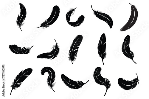 set of feather silhouette vector  . A set of bird feathers of different shapes, straight, curved and flying. eps 10 