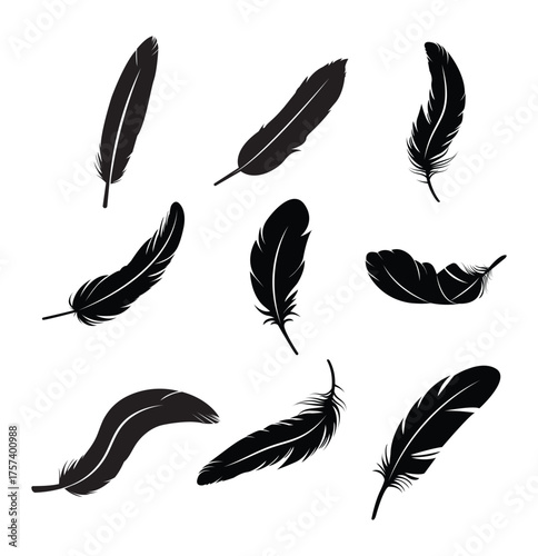 set of feather silhouette vector  . A set of bird feathers of different shapes, straight, curved and flying. eps 10 