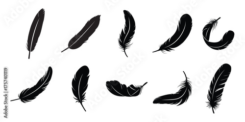 Black bird feathers vector illustration, hand-drawn feather collection, nature-inspired silhouette . Black feather vector logo isolated . eps 10 
