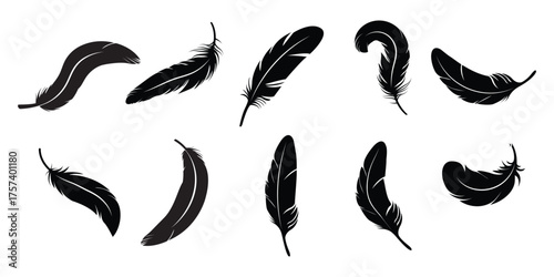 Black bird feathers vector illustration, hand-drawn feather collection, nature-inspired silhouette . Black feather vector logo isolated . eps 10 