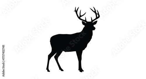 Majestic stag silhouette standing proudly with antlers prominently displayed against a clean white canvas silhouette