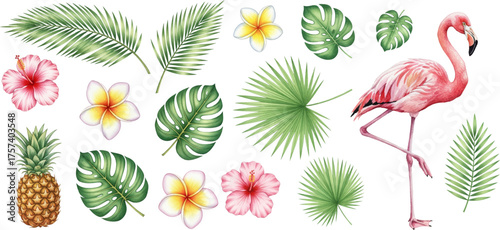 Striking pink flamingo, various lush tropical leaves, exotic hibiscus and plumeria flowers, pineapple fruit illustration vector collection.