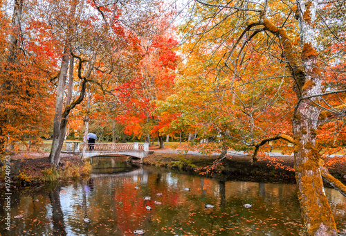 Late autumn in old public park and walking bridge