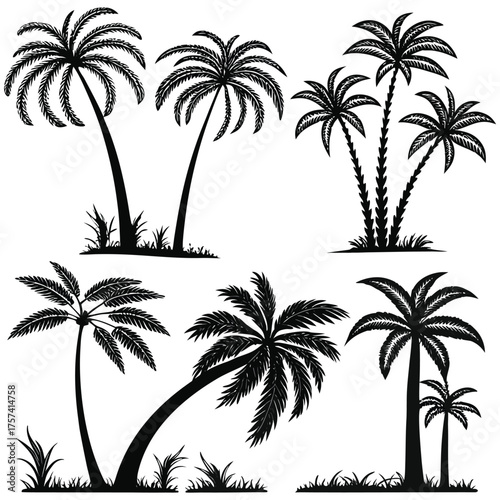 A collection of black silhouette palm trees  illustration vector
