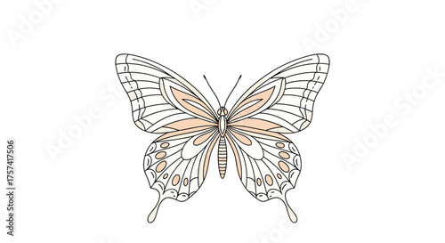 A delicate illustration of a butterfly with intricate wing patterns and soft blush accents.