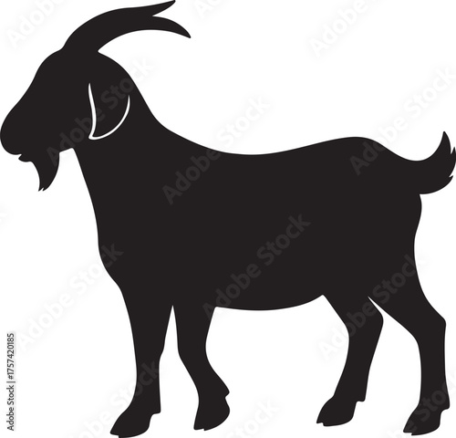 Many fictional scenes of goats- ছাগল 
