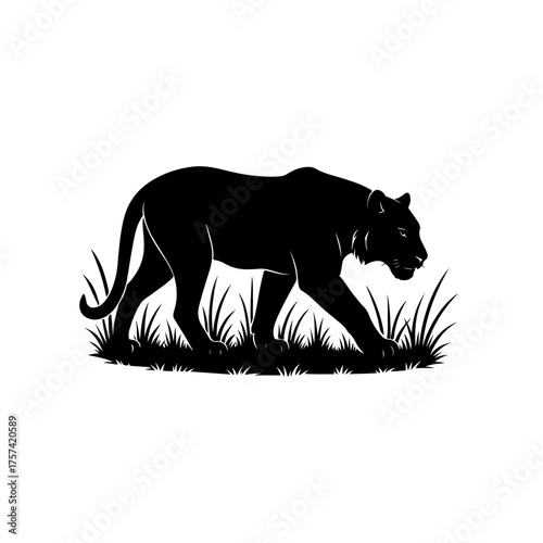 Black Silhouette of a Panther Walking Through Grass Wild Animal Vector Illustration on White Background.