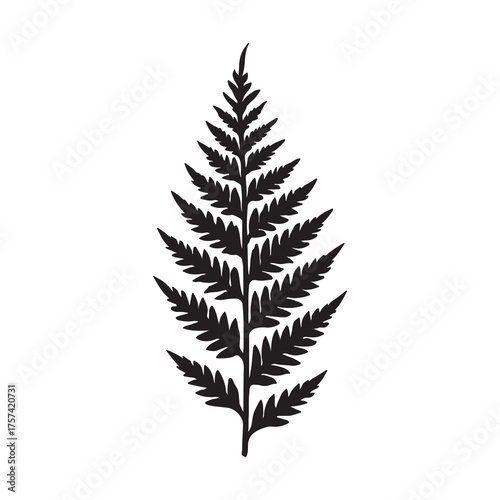 Fern Leaf Silhouette Vector Icon Botanical Plant Nature Foliage Illustration Isolated Design Tropical Forest Shape
