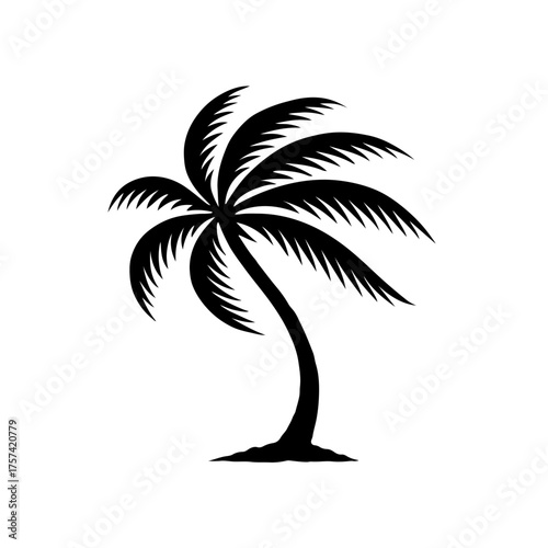 Palm Tree Silhouette Tropical Coconut Tree Vector Illustration on White Background