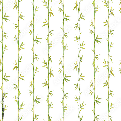 bamboo, pattern, watercolor,