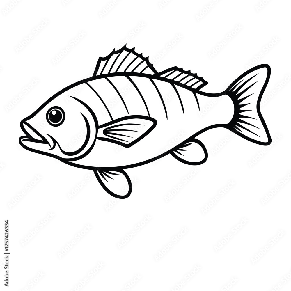 Fototapeta premium Smallmouth bass line art