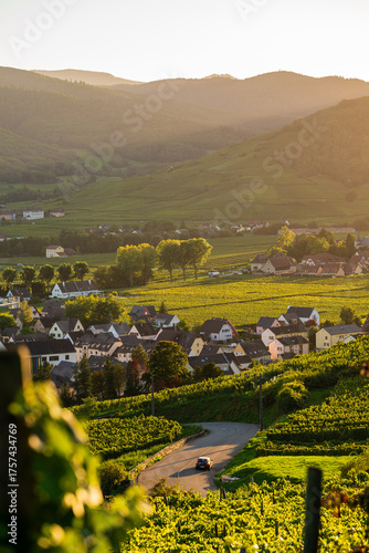 Le mont de Sigolsheim avec ses routes sinueuses sur le piémont viticole d’Alsace, CEA, Grand Est, France
