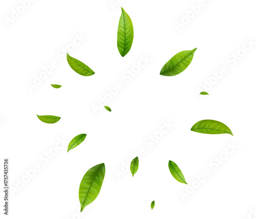 Adobe Illustrator Artwork