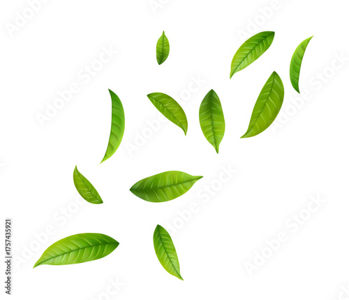 Adobe Illustrator Artwork