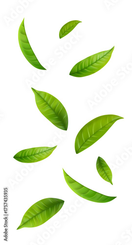 Adobe Illustrator Artwork