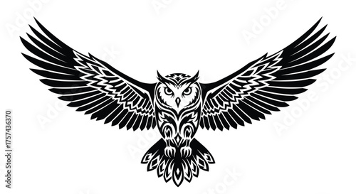 Discovering the nocturnal wonders of the forest with the silent flight of an owl.