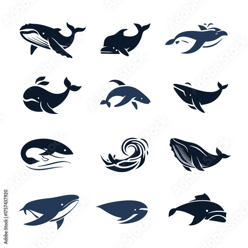 Set of stylized whale and dolphin illustrations. Graphic marine mammal designs, ocean animal icons, various aquatic creature poses, vector art.