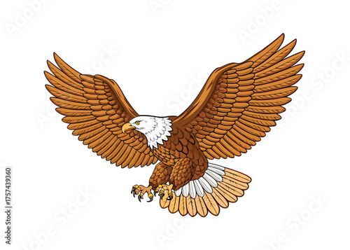 Golden eagle in flight illustration with spread wings, a symbol of freedom and wildlife
