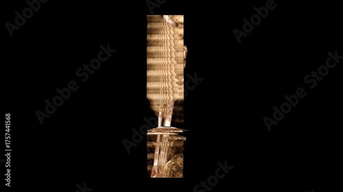 High-resolution VR visualization of the left knee showing detailed plain bone anatomy. Ideal for medical research, surgical planning, and orthopedic education.