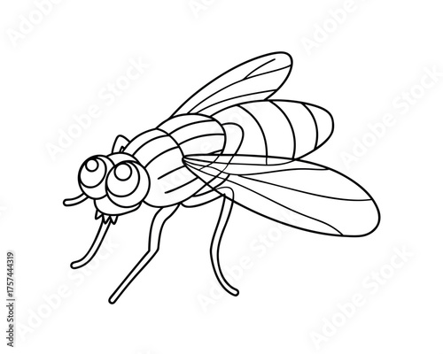 A detailed vector illustration of a cartoon bee and fly, common insects like wasp and hoverfly, showcasing their wings and detail against white for nature and entomology concepts