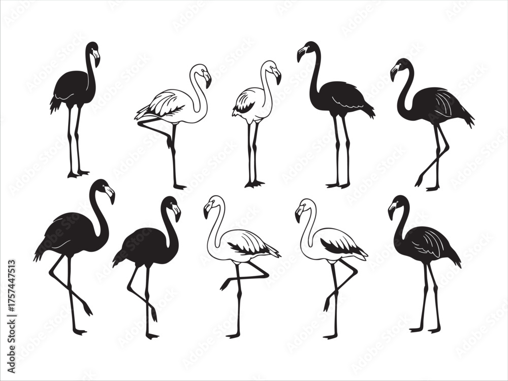 Obraz premium Flamingo Icons Set – Minimal Vector Art of Tropical Bird