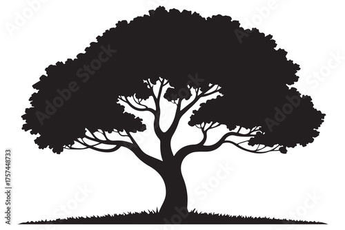 Beautiful tree silhouette illustration with natural branches and leaves isolated on white background
