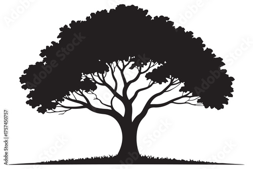 Beautiful tree silhouette illustration with natural branches and leaves isolated on white background
