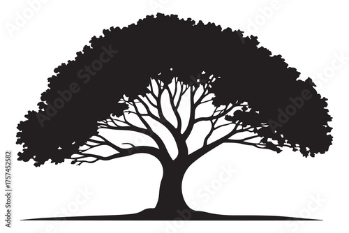 Beautiful tree silhouette illustration with natural branches and leaves isolated on white background
