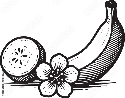 Banana with slice and flower black and white etching illustration for tropical fruit packaging and organic label design