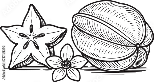 Starfruit carambola with flower black and white etching illustration for tropical product packaging and label design