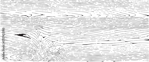 Black and white wood grain texture background natural