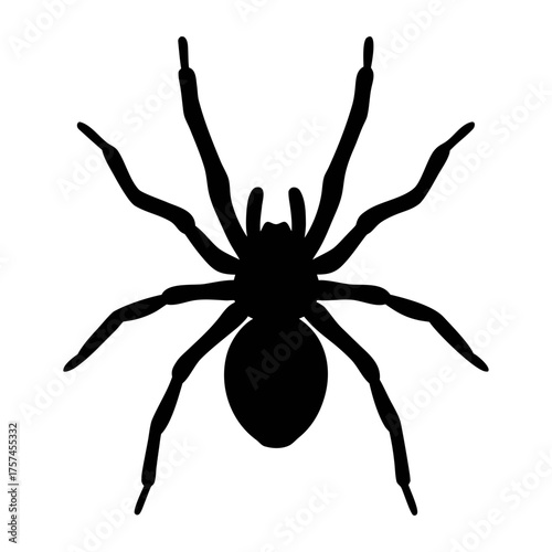 Black spider silhouette vector image for halloween decorations and creepy crawlies design projects